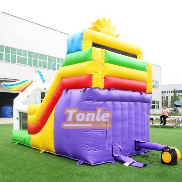 Unicorn Inflatable Small Dry Slide