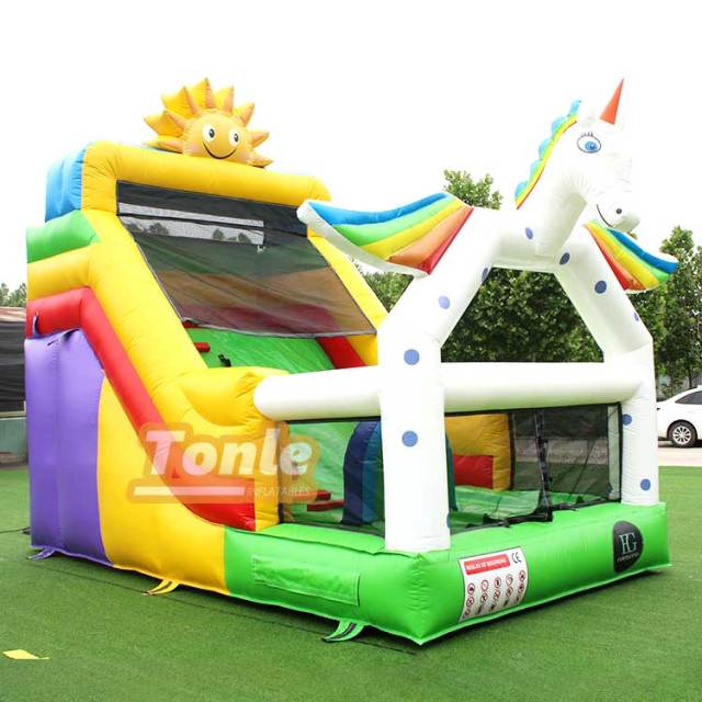 Unicorn Inflatable Small Dry Slide