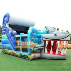 Shark Inflatable Slide