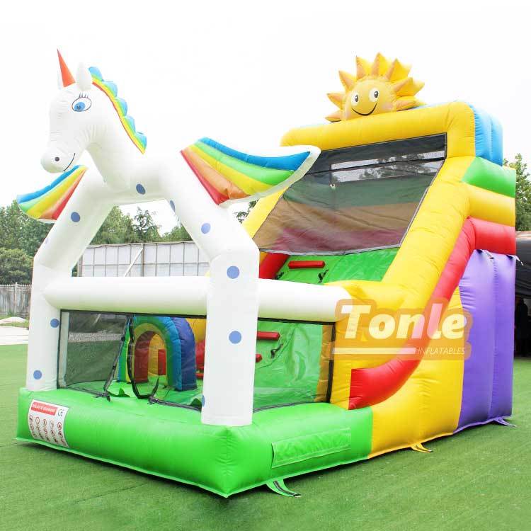 Unicorn Inflatable Small Dry Slide