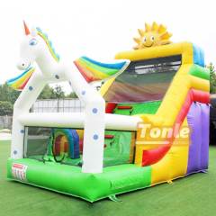 Unicorn Inflatable Small Dry Slide
