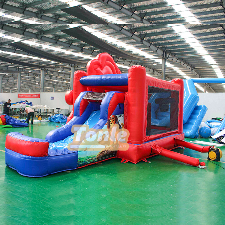 Lion King Inflatable Bouncing Water Slide Combo