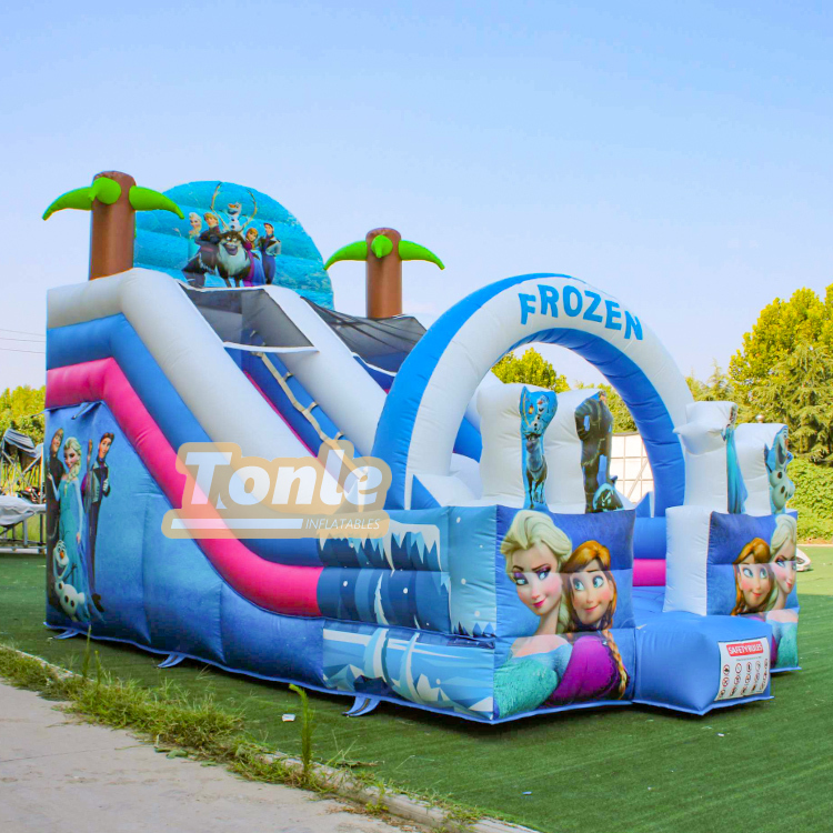 Frozen Inflatable Slide