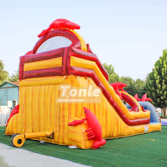 20ft Crayfish inflatable water slide