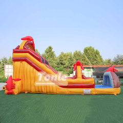 20ft Crayfish inflatable water slide