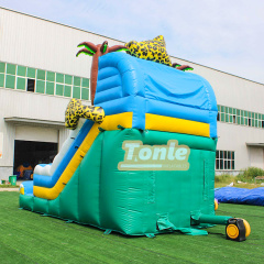 15FT Hidden Jaguar Inflatable Water Slide