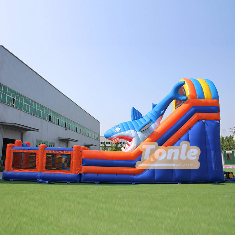 Shark theme wet and dry inflatable slide