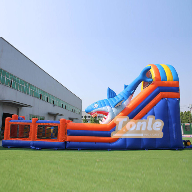 Shark theme wet and dry inflatable slide