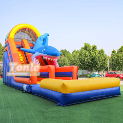 Shark theme wet and dry inflatable slide
