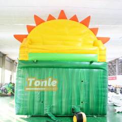 Paradise Sunshine inflatable Water Slide for sale