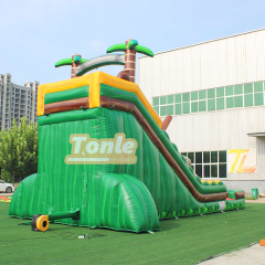 Snake Mouth Escape Inflatable Water Slides