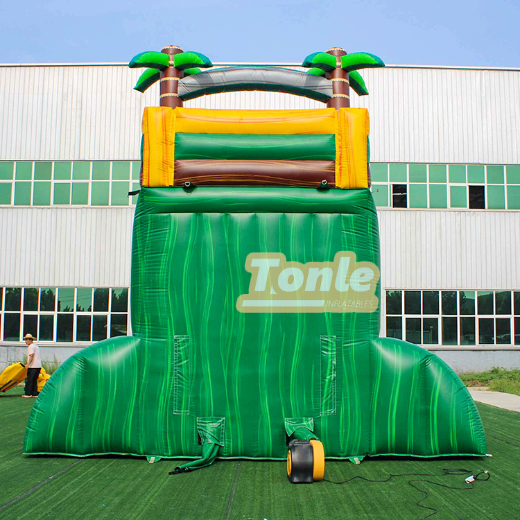 Snake Mouth Escape Inflatable Water Slides