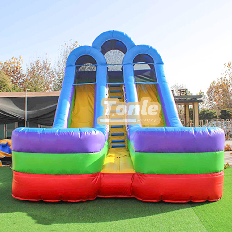20FT Dual Lane Water Slide