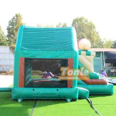 Ice cream themed bouncy castle with slide