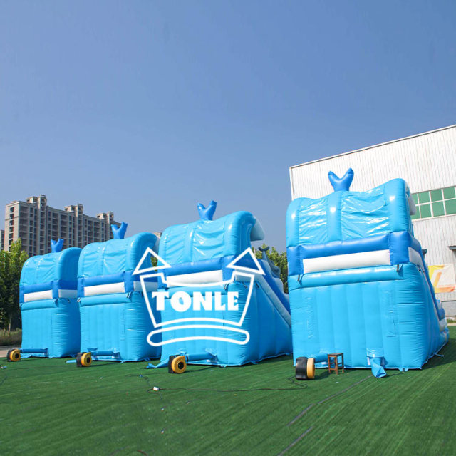 Dolphin Wave Commercial Inflatable Water Slide