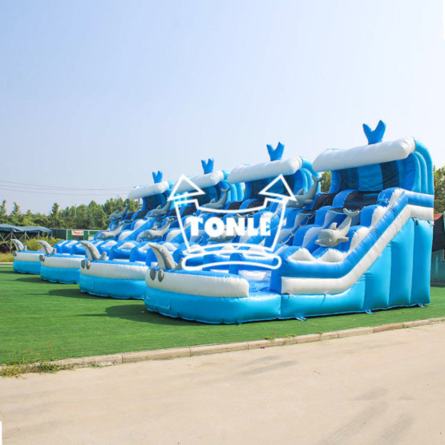 Dolphin Wave Commercial Inflatable Water Slide