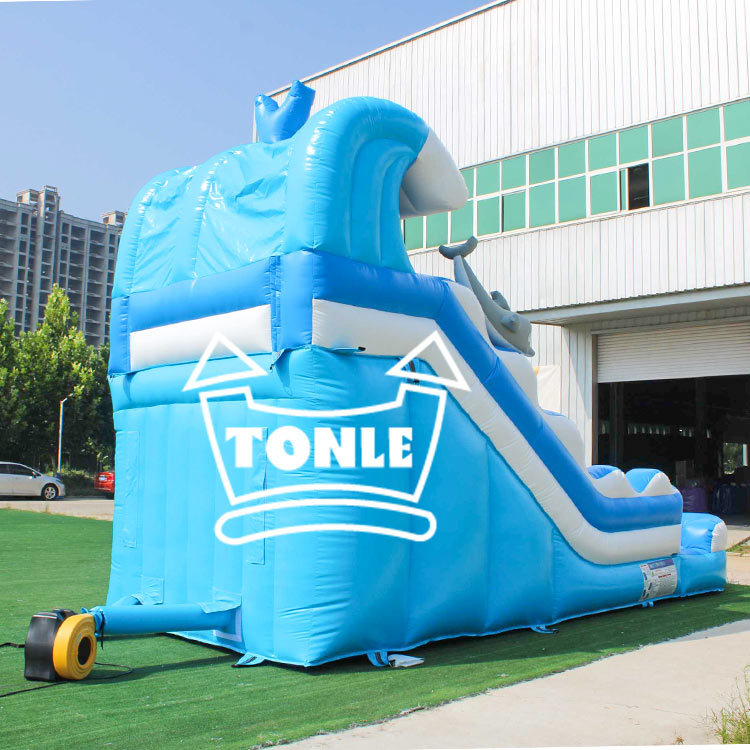 Dolphin Wave Commercial Inflatable Water Slide