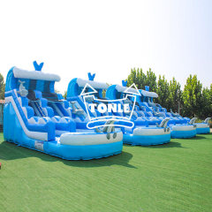 Dolphin Wave Commercial Inflatable Water Slide