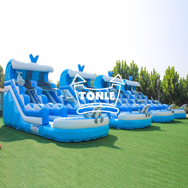 Dolphin Wave Commercial Inflatable Water Slide