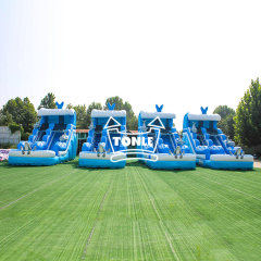 Dolphin Wave Commercial Inflatable Water Slide