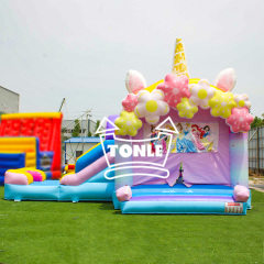 China factory Disney Princess bouncy castle water slide combo