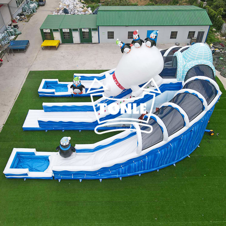 China factory Ice World inflatable Water pool slide