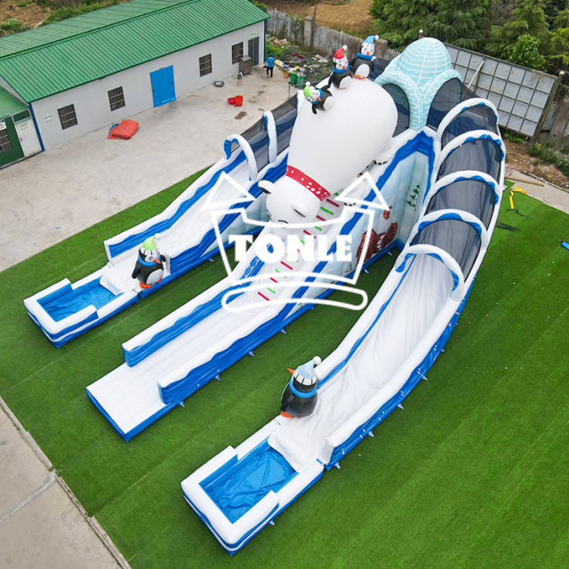 China factory Ice World inflatable Water pool slide