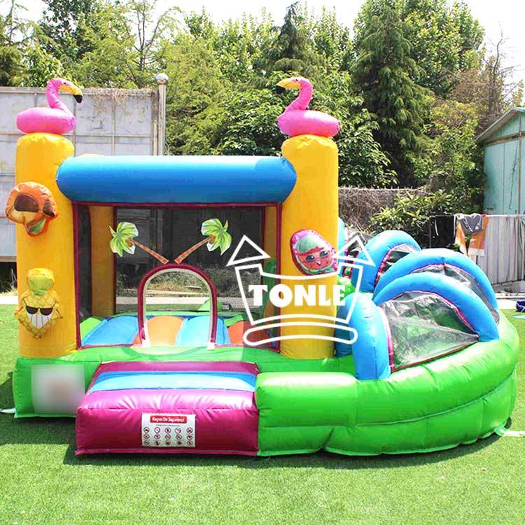 Tropical Flamingo Inflatable bouncing castle with Slide