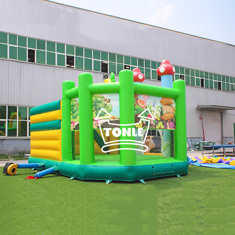 Commercial Grade PVC Inflatable Slide Jumping Castle Combo