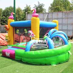 Tropical Flamingo Inflatable bouncing castle with Slide