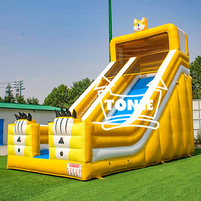 23ft tall Commercial Inflatable Dry Slide for sale