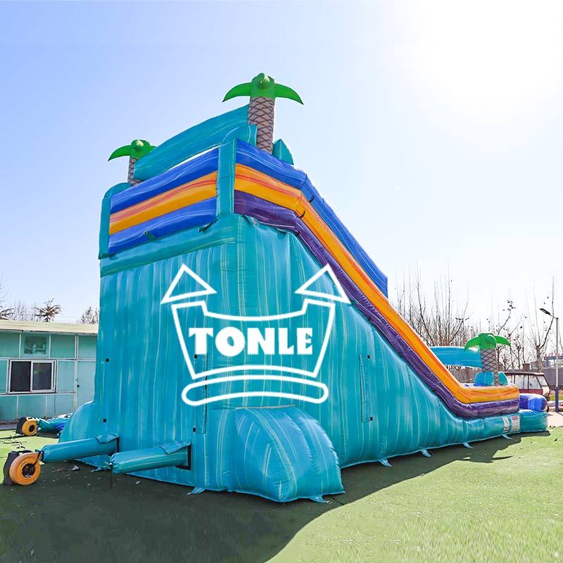 Commercial blue colorful tropical double-lane inflatable water slide