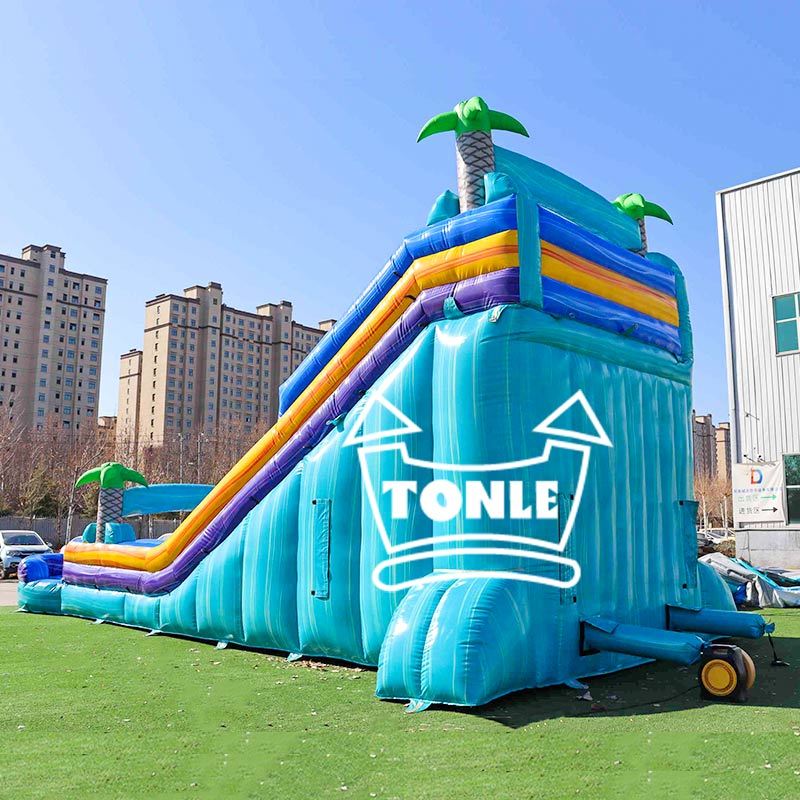 Commercial blue colorful tropical double-lane inflatable water slide
