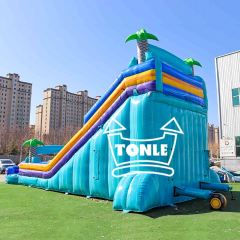 Commercial blue colorful tropical double-lane inflatable water slide