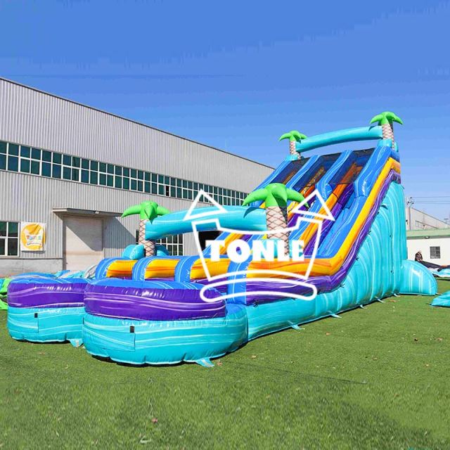 Commercial blue colorful tropical double-lane inflatable water slide