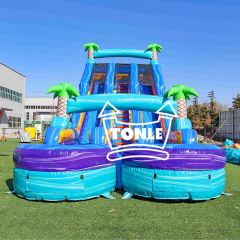 Commercial blue colorful tropical double-lane inflatable water slide