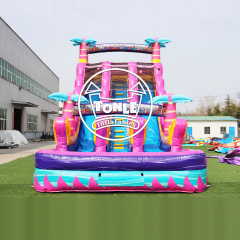 China Factory 18FT Inflatable Teal Rippling Rush Dual Lane water slide for sale