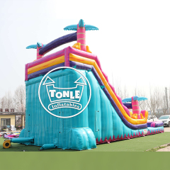 China Factory 18FT Inflatable Teal Rippling Rush Dual Lane water slide for sale