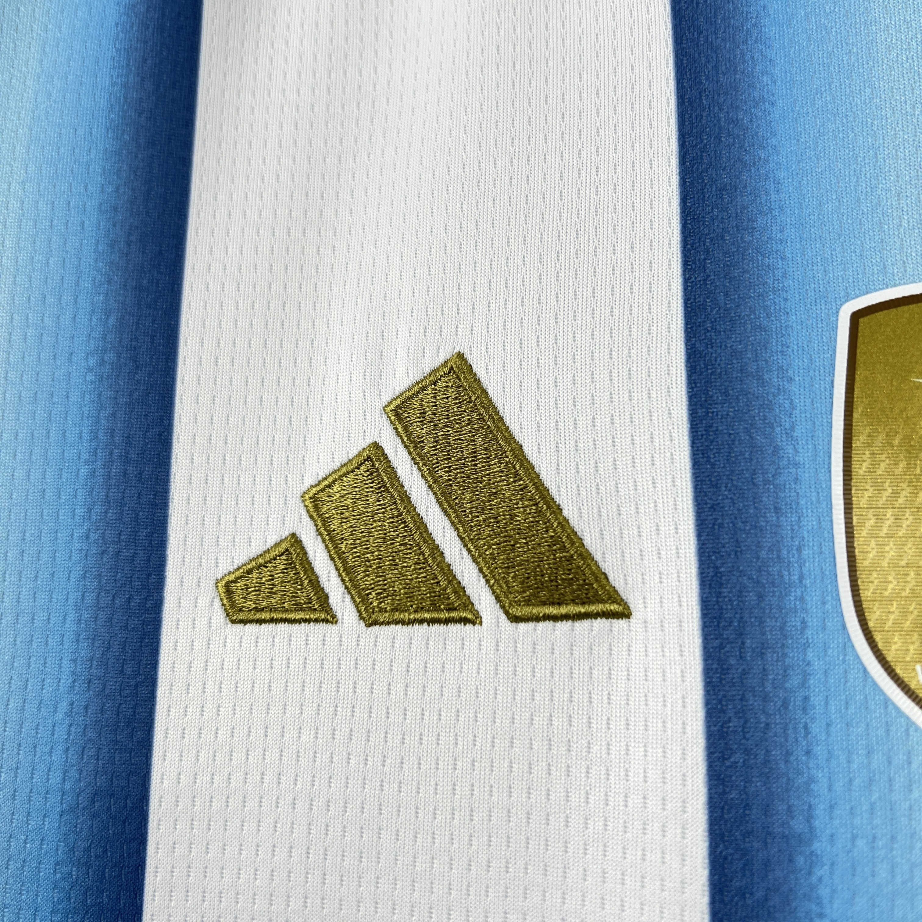 2026 World Cup Argentina Soccer Jersey Women's Home Custom Shirt