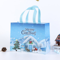 Custom Christmas reusable Non-woven bag with handles,reusable tote bags,tote bag,reusable tote bags,large woven tote bag,NaBaiYu,Custom Christmas reusable Non-woven bag with handles,reusable tote bags,tote bag,reusable tote bags,large woven tote bag