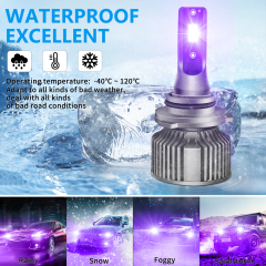 Sungmo A8 Series Purple LED Headlight – 50W Built-in Driver,Sungmo LED Lighting,A8 Series Purple LED Headlight – 50W Built-in Driver