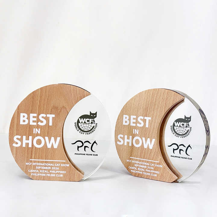 Personalized Circle Plaque Crystal Trophy with Wooden Base MH-LJ0989