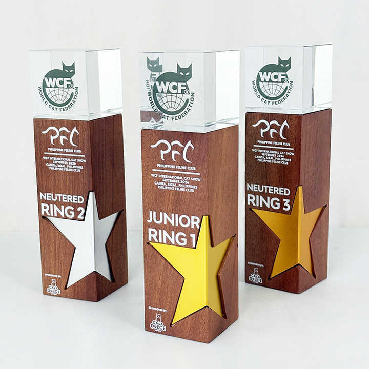 Gold Silver Bronze Metal Star Laser Personalized Crystal Trophy Award with Wooden Base MH-LJ0985