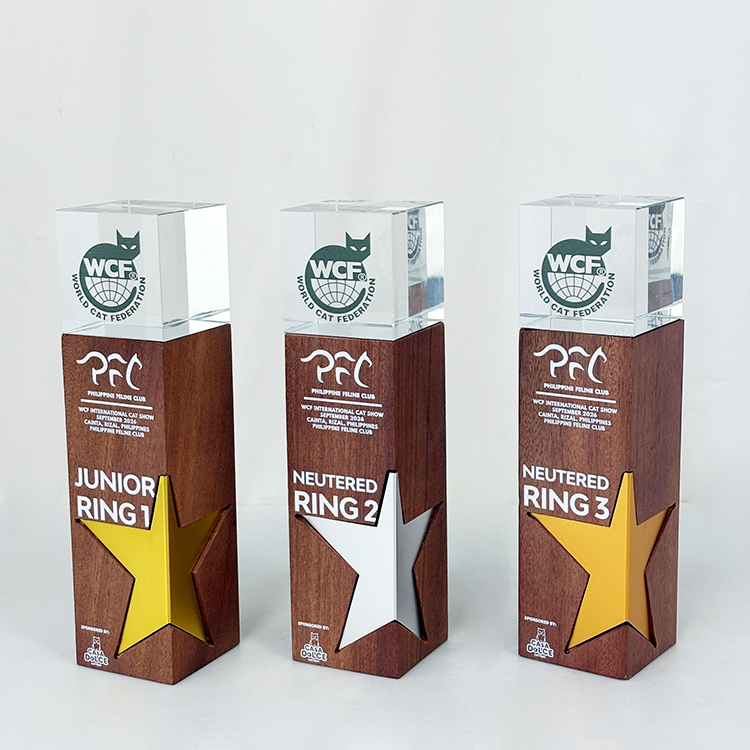Gold Silver Bronze Metal Star Laser Personalized Crystal Trophy Award with Wooden Base MH-LJ0985