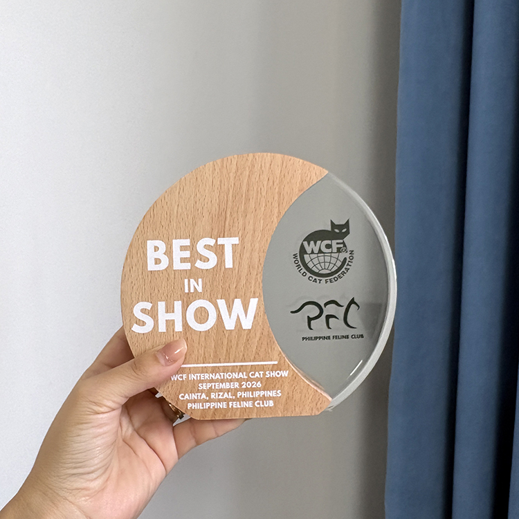 Personalized Circle Plaque Crystal Trophy with Wooden Base MH-LJ0989