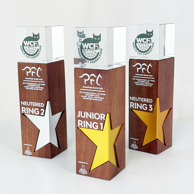 Gold Silver Bronze Metal Star Laser Personalized Crystal Trophy Award with Wooden Base MH-LJ0985