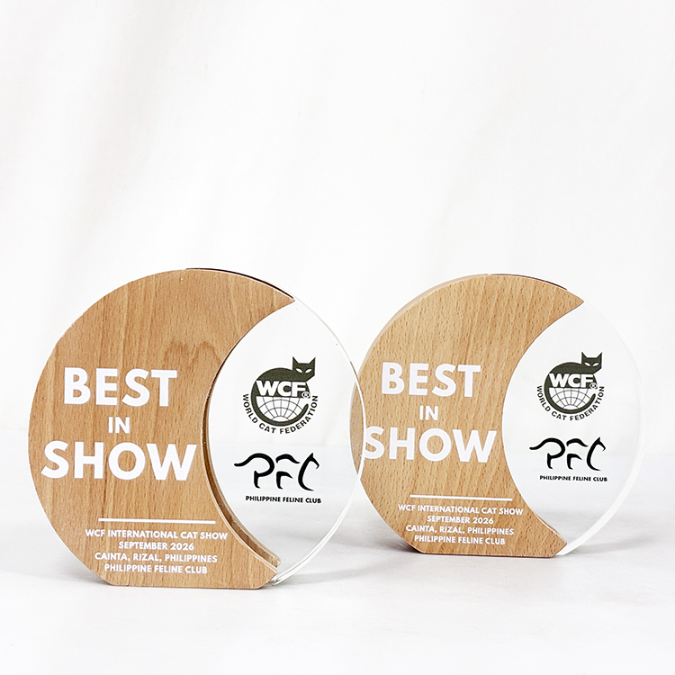Personalized Circle Plaque Crystal Trophy with Wooden Base MH-LJ0989