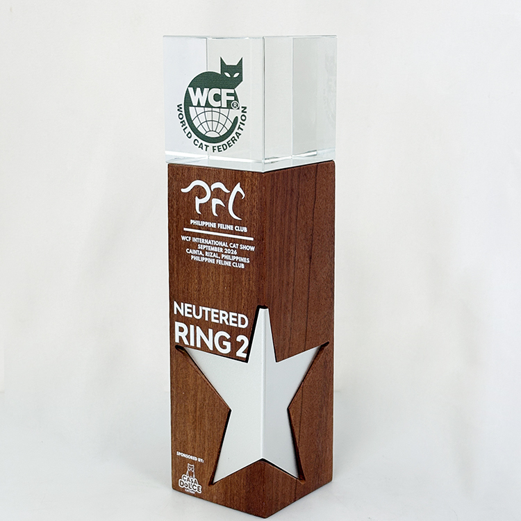 Gold Silver Bronze Metal Star Laser Personalized Crystal Trophy Award with Wooden Base MH-LJ0985