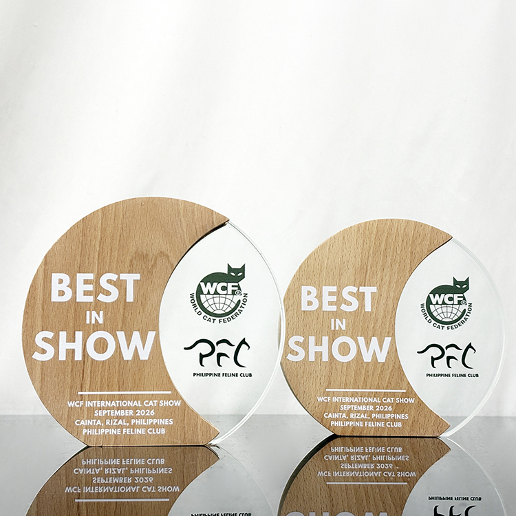 Personalized Circle Plaque Crystal Trophy with Wooden Base MH-LJ0989