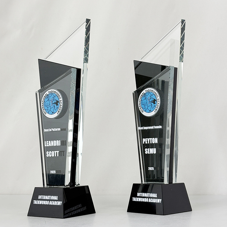Personalized Black and Clear Crystal Plaque Trophy MH-LJ0923